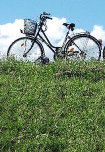 Ein Fahrrad im Sommer